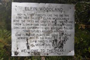 995957_10100174556943684_638795217_n