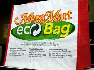 ShoppingBagD20110215WS